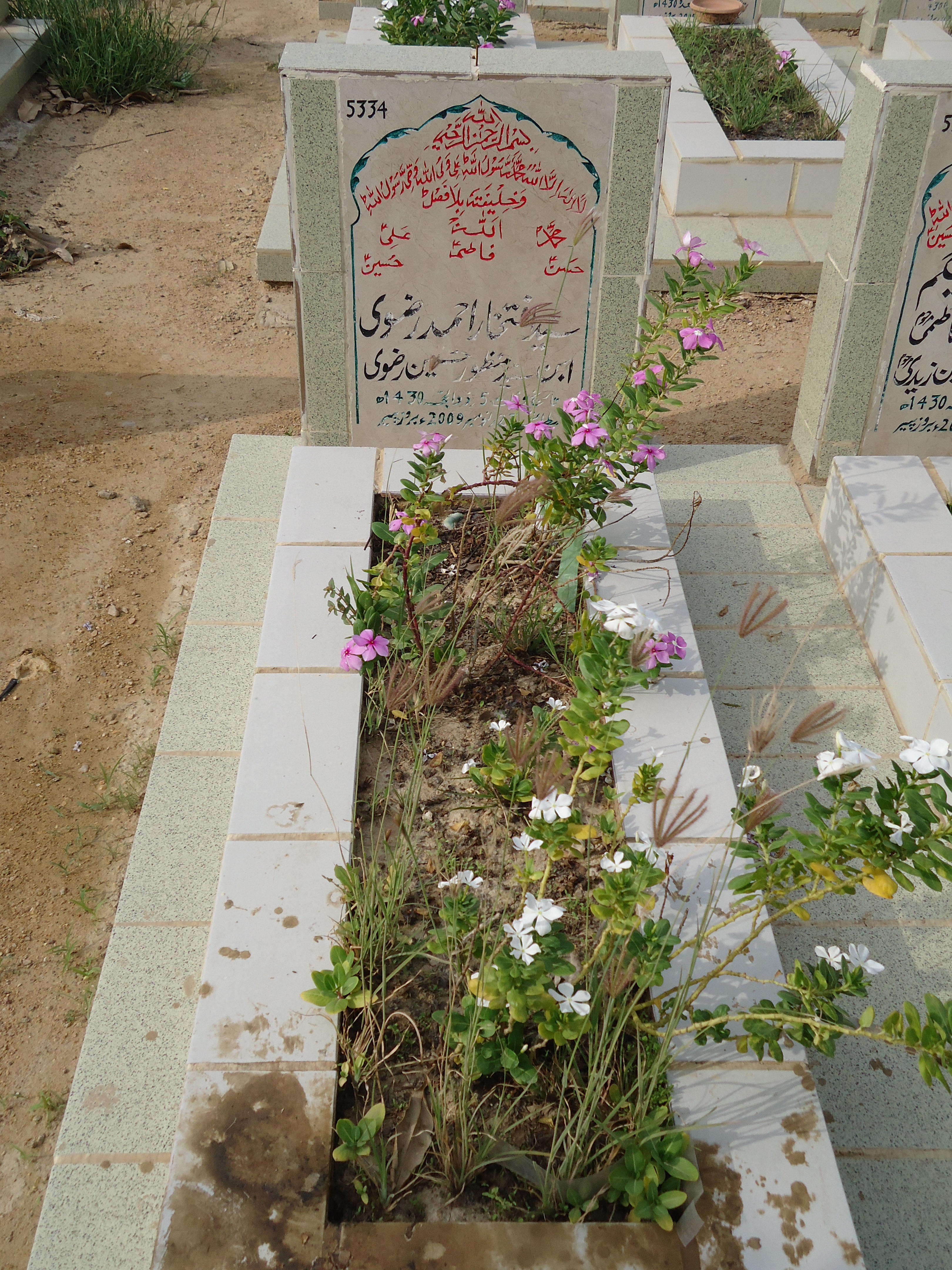 5334 – Syed Iftekhar Ahmed Rizvi